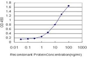Detection limit for recombinant GST tagged ETV5 is approximately 0. (ETV5 抗体  (AA 181-290))