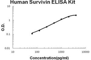 Human Survivin PicoKine ELISA Kit standard curve (Survivin ELISA 试剂盒)