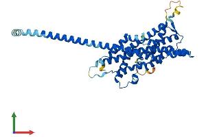 Protein Structure (PS) image for Peroxisomal Biogenesis Factor 3 (PEX3) (AA 1-373) protein (His tag) (ABIN7550656)
