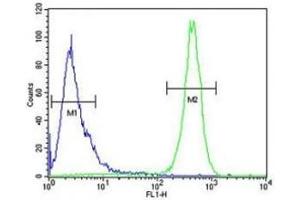 Beclin1 antibody flow cytometric analysis of HeLa cells (right histogram) compared to a negative control (left histogram). (Beclin 1 抗体  (AA 95-132))