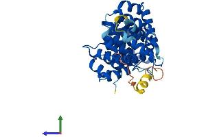 Protein Structure (PS) image for Annexin A9 (ANXA9) (AA 1-345) protein (His tag) (ABIN7561514)