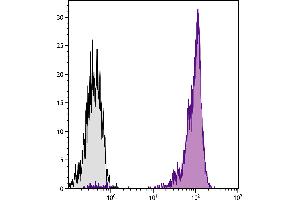 Chicken peripheral blood lymphocytes were stained with Mouse Anti-Chicken CD45-UNLB. (CD45 抗体)