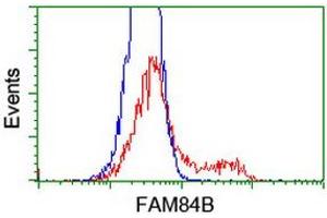 HEK293T cells transfected with either RC207996 overexpress plasmid (Red) or empty vector control plasmid (Blue) were immunostained by anti-FAM84B antibody (ABIN2453921), and then analyzed by flow cytometry. (FAM84B 抗体)