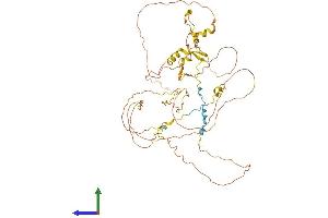 Protein Structure (PS) image for Retinoic Acid Induced 2 (RAI2) (AA 1-529) protein (His tag) (ABIN7561732)