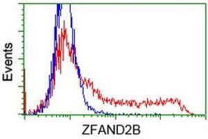 Flow Cytometry (FACS) image for anti-Zinc Finger, AN1-Type Domain 2B (ZFAND2B) antibody (ABIN1501805) (ZFAND2B 抗体)