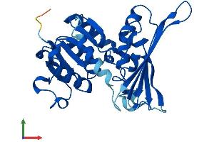 Protein Structure (PS) image for Aspartate Dehydrogenase Domain Containing (ASPDH) (AA 1-283) protein (His tag) (ABIN7552431)