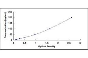 Typical standard curve (IGFBP2 ELISA 试剂盒)