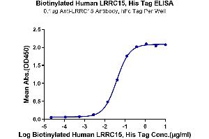 Immobilized Anti-LRRC15 Antibody, hFc Tag at 1 μg/mL (100 μL/well) on the plate.