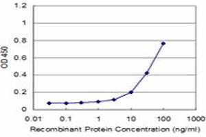 Detection limit for recombinant GST tagged MMP3 is approximately 3ng/ml as a capture antibody. (MMP3 抗体  (AA 22-131))