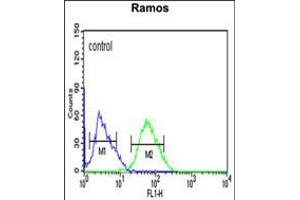 Flow cytometric analysis of Ramos cells (right histogram) compared to a negative control cell (left histogram). (C10orf27 抗体  (C-Term))