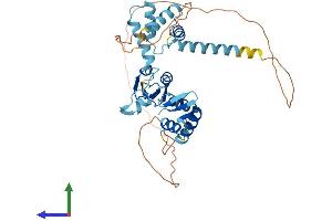AlphaFold protein structure predicition of Mouse Recombinant Lyar Protein, UniprotID Q08288