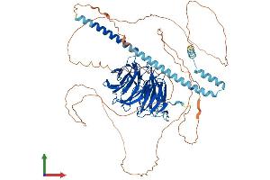 AlphaFold protein structure predicition of Mouse Recombinant Tle4 Protein, UniprotID Q62441 (TLE4 Protein (AA 1-773) (His tag))
