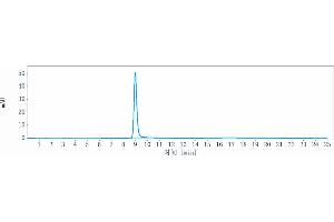 The purity of Anti-ICOS / CD278 Reference Antibody (MEDI-570) is more than 95 % , determined by SEC-HPLC. (Recombinant ICOS 抗体)