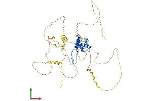 Protein Structure (PS) image for SRY (Sex Determining Region Y)-Box 9 (SOX9) (AA 1-509) protein (His tag) (ABIN7546261)