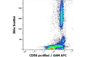 Flow cytometry surface staining pattern of human peripheral whole blood stained using anti-human CD58 (MEM-63) purified antibody (concentration in sample 1,67 μg/mL, GAM APC). (CD58 抗体)