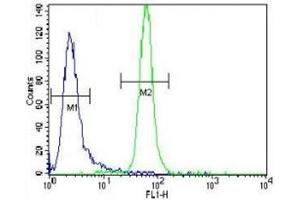 MUSK antibody flow cytometric analysis of CEM cells (right histogram) compared to a negative control cell (left histogram). (MUSK 抗体)