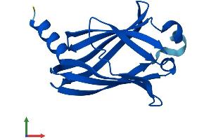Protein Structure (PS) image for phosphodiesterase 6D, CGMP-Specific, Rod, delta (PDE6D) (AA 1-150) protein (His tag) (ABIN7562472)