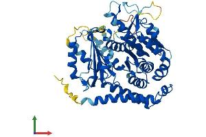Protein Structure (PS) image for Tubulin, epsilon 1 (TUBE1) (AA 1-475) protein (His tag) (ABIN7561055)