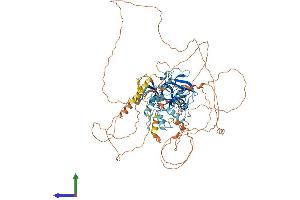 Protein Structure (PS) image for PR Domain Containing 1, with ZNF Domain (PRDM1) (AA 1-856) protein (His tag) (ABIN7557584)