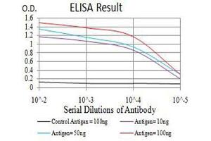Black line: Control Antigen (100 ng),Purple line: Antigen (10 ng), Blue line: Antigen (50 ng), Red line:Antigen (100 ng) (Estrogen Receptor alpha 抗体  (AA 2-185))