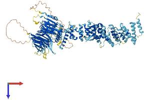 HPS3 Protein (AA 1-1004) (His tag)