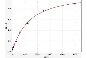 CBY1/PGEA1 ELISA 试剂盒