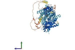 AlphaFold protein structure predicition of Mouse Recombinant Adcy6 Protein, UniprotID Q01341