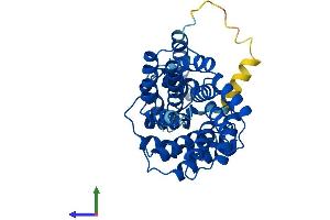 Protein Structure (PS) image for LRP2 Binding Protein (LRP2BP) (AA 1-347) protein (His tag) (ABIN7549202)