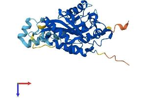 Phosphatidylinositol-Specific Phospholipase C, X Domain Containing 3 (PLCXD3) (AA 1-321) protein (His tag)