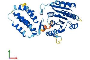 AlphaFold protein structure predicition of Human Recombinant FAM86B2 Protein, UniprotID P0C5J1