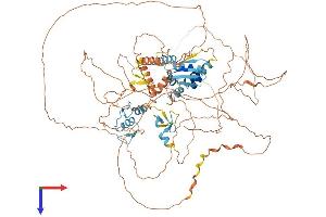 ZBTB10 Protein (AA 1-871) (His tag)