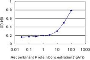 Detection limit for recombinant GST tagged RAP1A is approximately 1ng/ml as a capture antibody. (RAP1A 抗体  (AA 1-184))