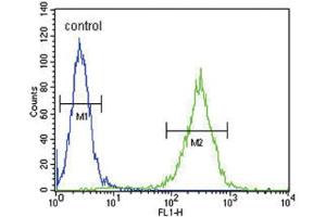 Flow Cytometry (FACS) image for anti-Hydroxysteroid (17-Beta) Dehydrogenase 12 (HSD17B12) antibody (ABIN3004142) (HSD17B12 抗体)