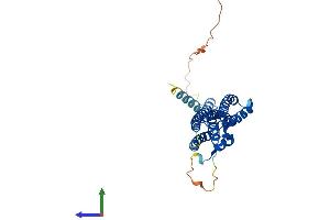 Protein Structure (PS) image for Translin-Associated Factor X (TSNAX) (AA 1-290) protein (His tag) (ABIN7561828)