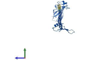 AlphaFold protein structure predicition of Human Recombinant RPS6 Protein, UniprotID P62753