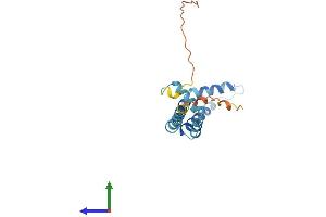 Protein Structure (PS) image for Biorientation of Chromosomes in Cell Division 1 (BOD1) (AA 1-173) protein (His tag) (ABIN7557524)