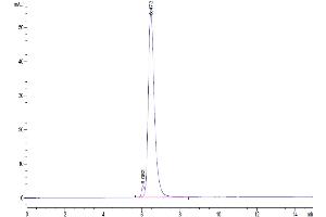 Size-exclusion chromatography-High Pressure Liquid Chromatography (SEC-HPLC) image for Transforming Growth Factor, beta Receptor II (70/80kDa) (TGFBR2) (AA 24-159) protein (Fc Tag) (ABIN7275719)