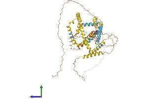 Protein Structure (PS) image for Perilipin 1 (PLIN1) (AA 1-517) protein (His tag) (ABIN7559327)