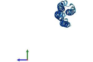 AlphaFold protein structure predicition of Human Recombinant ATP6V0C Protein, UniprotID P27449