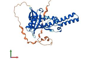 Protein Structure (PS) image for N-Acetyltransferase 8-Like (GCN5-Related, Putative) (NAT8L) (AA 1-302) protein (His tag) (ABIN7549687)