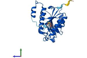 Protein Structure (PS) image for Isochorismatase Domain Containing 2b (ISOC2B) (AA 1-210) protein (His tag) (ABIN7561328)
