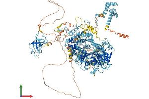 Protein Structure (PS) image for DEAH (Asp-Glu-Ala-His) Box Polypeptide 8 (DHX8) (AA 1-1244) protein (His tag) (ABIN7561863)