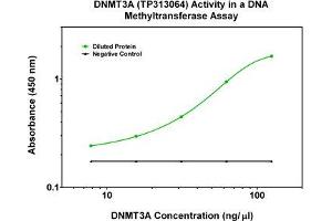 Activity Assay (AcA) image for DNA (Cytosine-5-)-Methyltransferase 3 alpha (DNMT3A) (Transcript Variant 3) (Active) protein (Myc-DYKDDDDK Tag) (ABIN2719617)