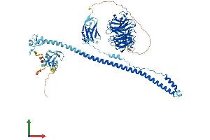 Protein Structure (PS) image for Tripartite Motif Containing 2 (TRIM2) (AA 1-744) protein (His tag) (ABIN7544627)