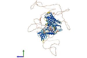 AlphaFold protein structure predicition of Mouse Recombinant Plekhm2 Protein, UniprotID Q80TQ5 (PLEKHM2 Protein (AA 1-1018) (His tag))