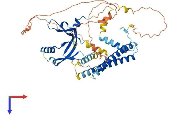 TAF7L Protein (AA 1-462) (His tag)