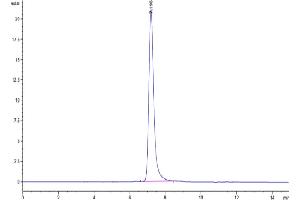 The purity of Human Tenascin is greater than 95 % as determined by SEC-HPLC. (TNC Protein (AA 23-621) (His tag))