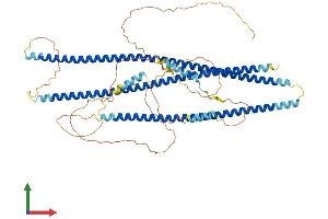 Protein Structure (PS) image for Shootin-1 (SHTN1) (AA 1-631) protein (His tag) (ABIN7564637)