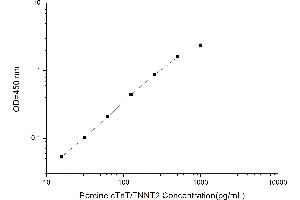 Typical standard curve (Cardiac Troponin T2 ELISA 试剂盒)