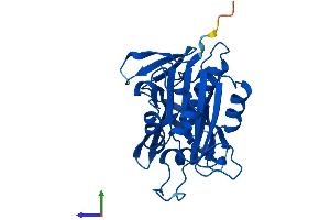 AlphaFold protein structure predicition of Mouse Recombinant Cyb5r2 Protein, UniprotID Q3KNK3 (CYB5R2 Protein (AA 1-276) (His tag))